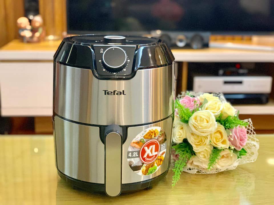 Nồi chiên không dầu Tefal EY201D, Nhập Đức