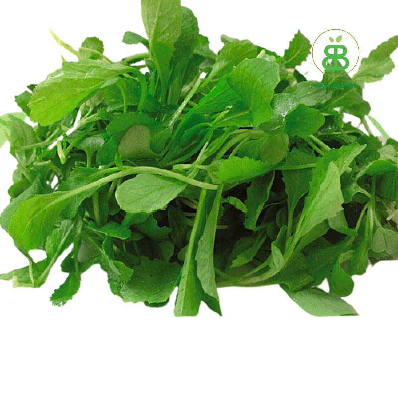 Hạt giống cải xanh ăn non