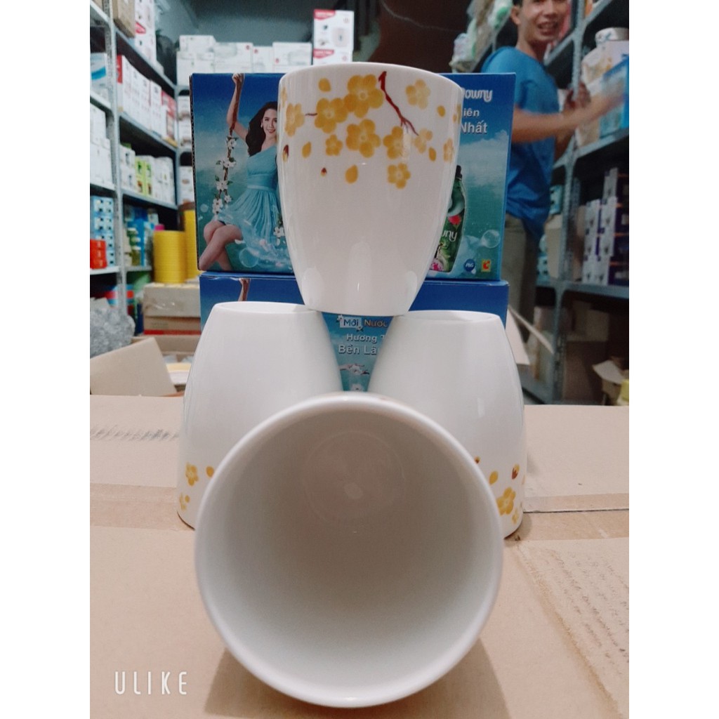 Bộ cốc sứ hoa mai Dong HWa