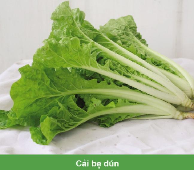 Hạt giống Cải Bẹ Dún 10gr trồng thùng xốp, thủy canh,...