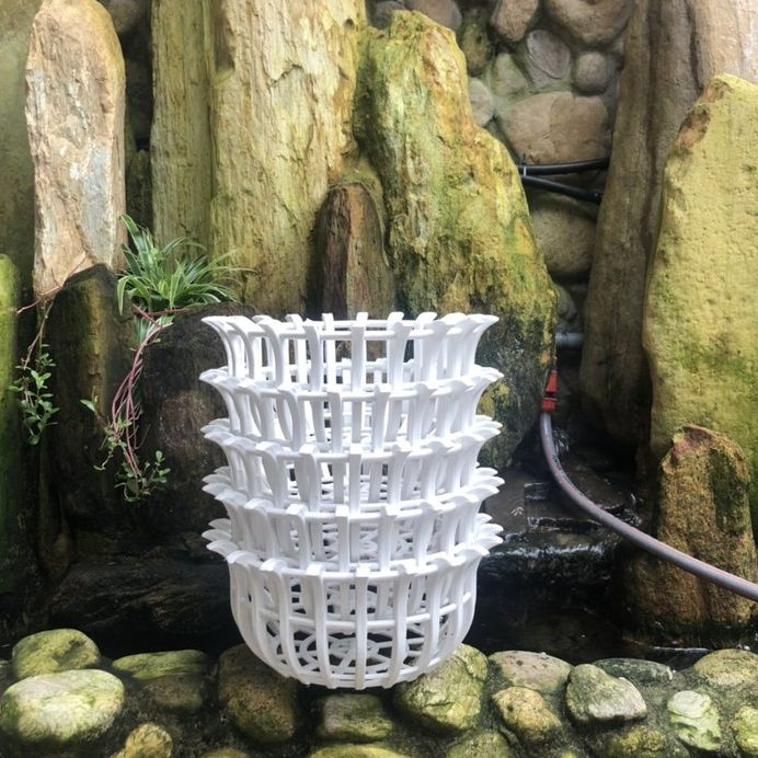 Combo 5 Chậu nhựa treo lan phi 25cm