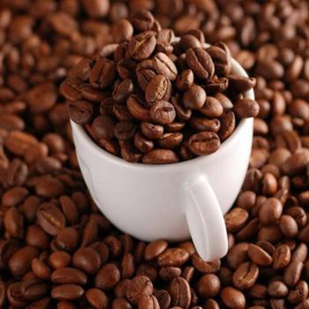 Hạt cà phê Robusta rang Mộc nguyên chất -1kg -Đắc lắc - gaohungnam.com