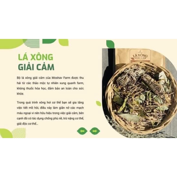 Lá xông giải cảm 10 vị thảo dược