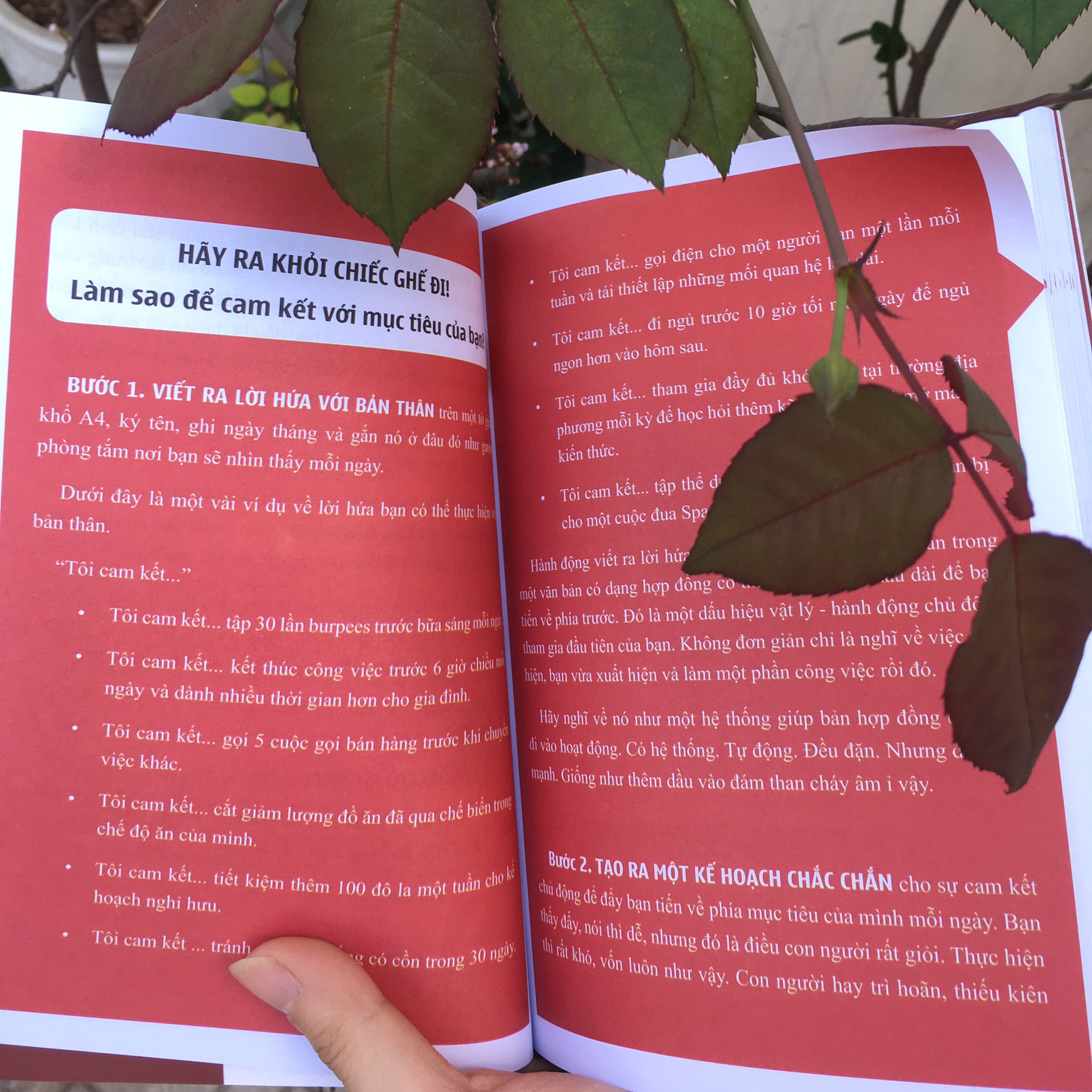 Lối sống Spartan - Pandabooks