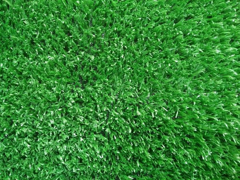 36 mét vuông thảm cỏ nhân tạo độ cao 1,5 cm(KT 2mx18m)
