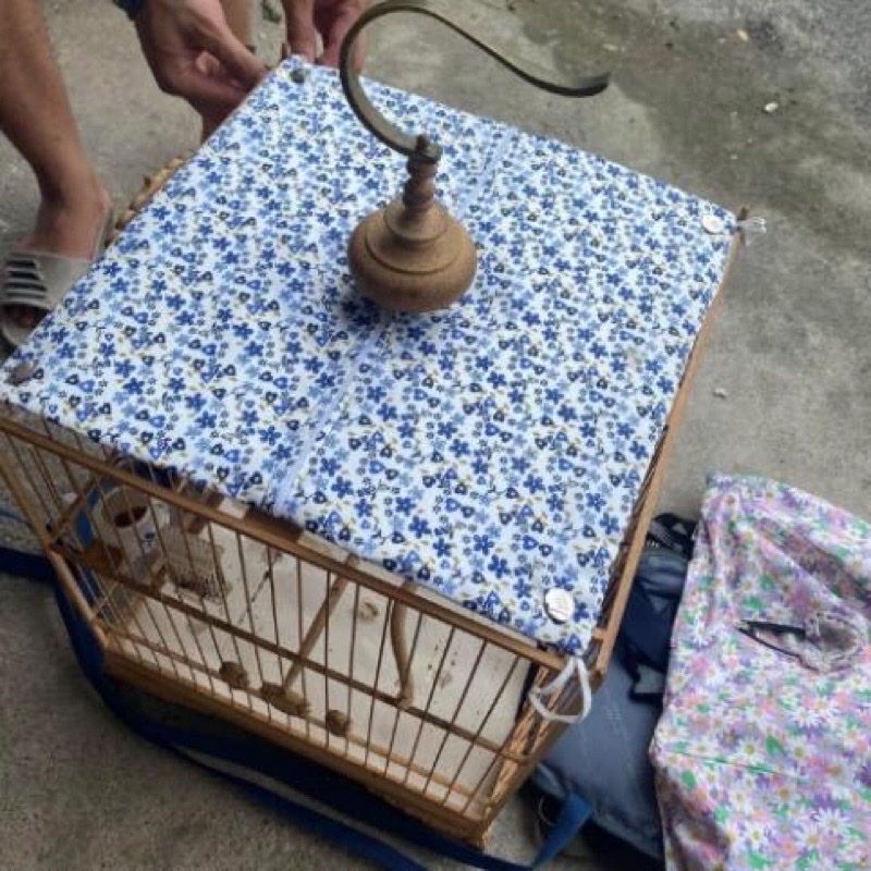 Tấm che nắng, che nóc lồng chim Chào mào