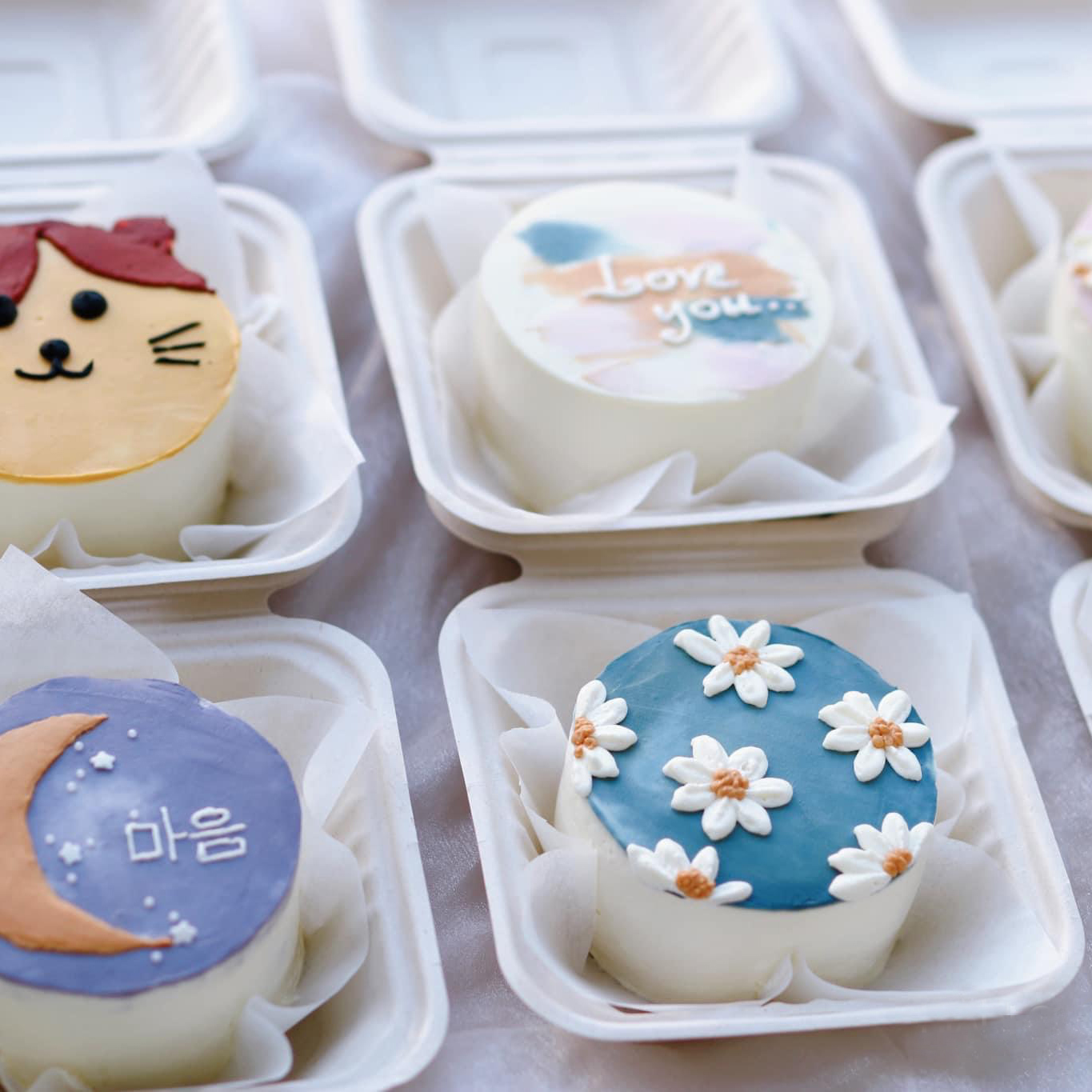 Hộp bã mía vuông (set 10 hộp) đựng bánh, cơm, xôi