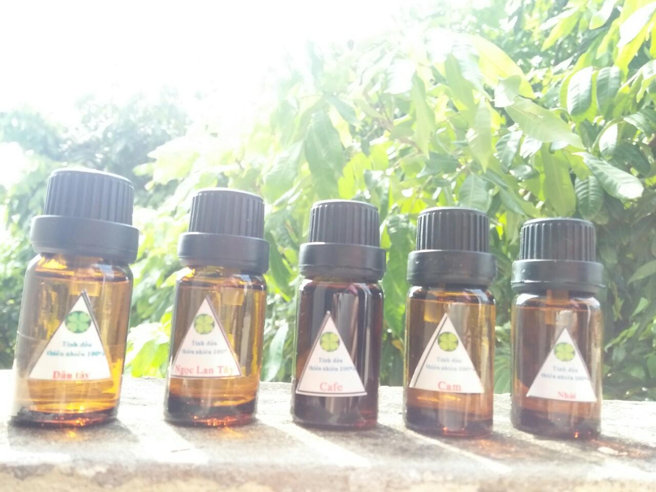 Bộ 5 chai tinh dầu xông 10ml ( sả chanh, quế, nhài, ngọc lan tây, oải hương)