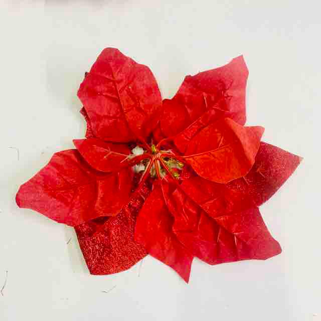Sét 3 hoa trạng nguyên đỏ 23cm trang trí noel