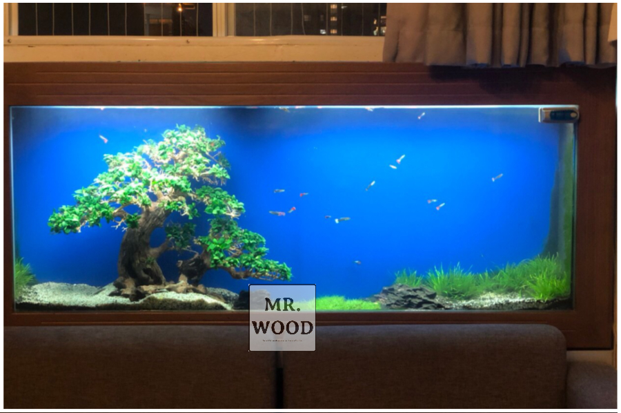 Lũa Bonsai Hai Thân Cho Hồ Thủy Sinh- Xưởng Lũa Mr Wood