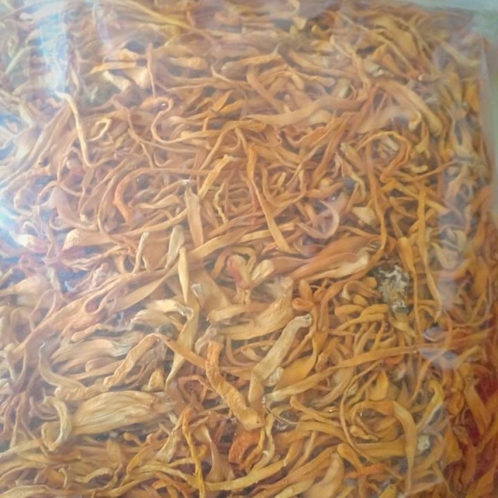 ĐÔNG TRÙNG THẢO (LOẠI 1) 100g