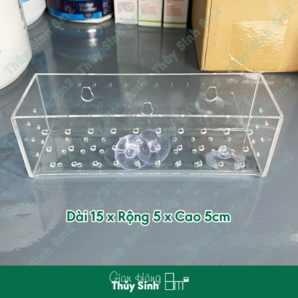 (Nhiều Mẫu) Cốc Trồng Cây Thủy Sinh Acrylic - 8m2