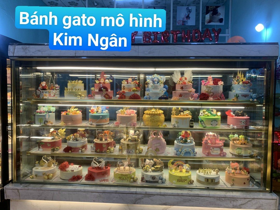 Gato - bánh sinh nhật-1T22
