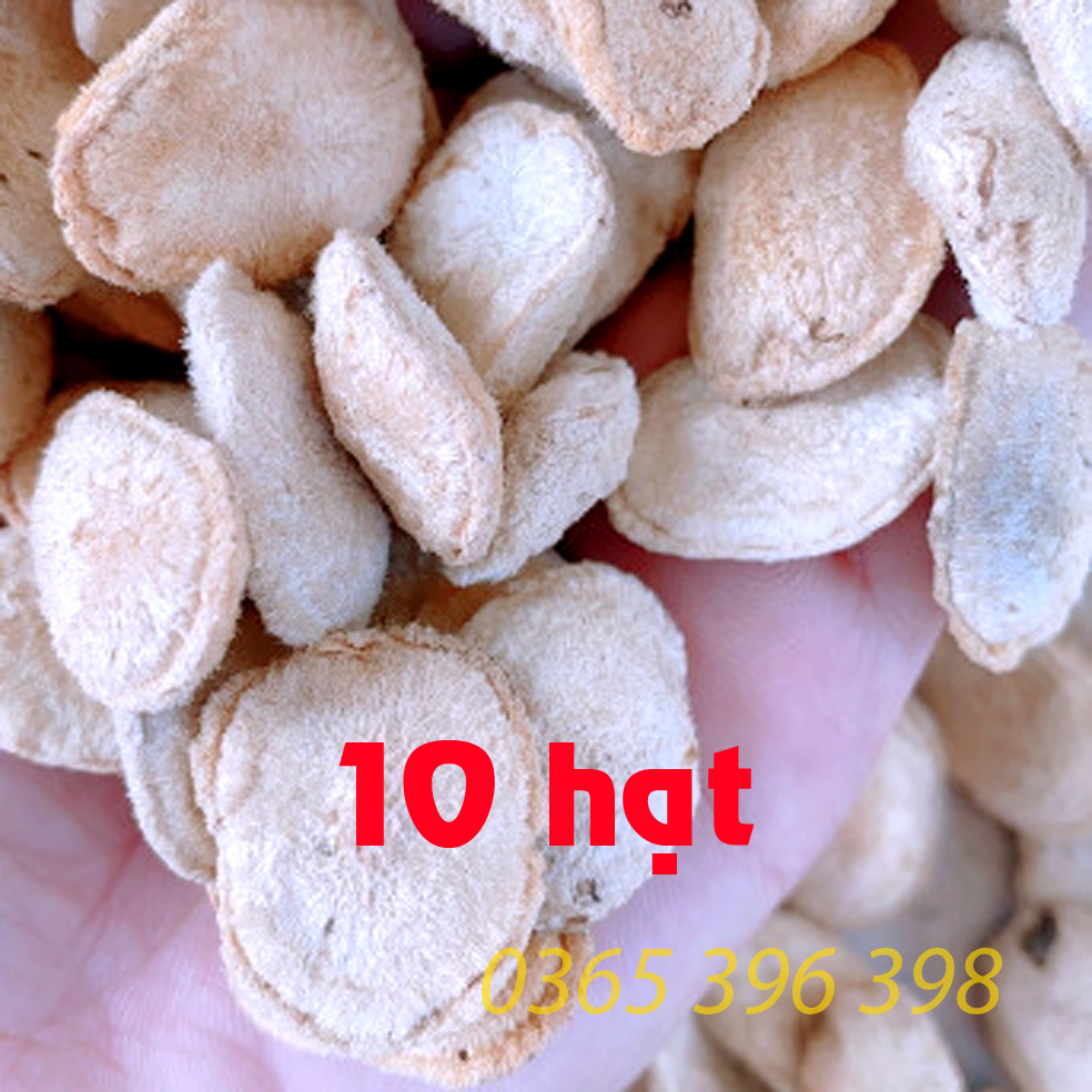 10 Hạt sang hạt sành đau dạ dày và đại tràng ( hạt trắng)