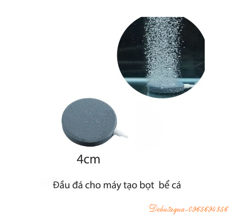 Sủi đĩa oxy 4cm - Sủi oxy hồ cá