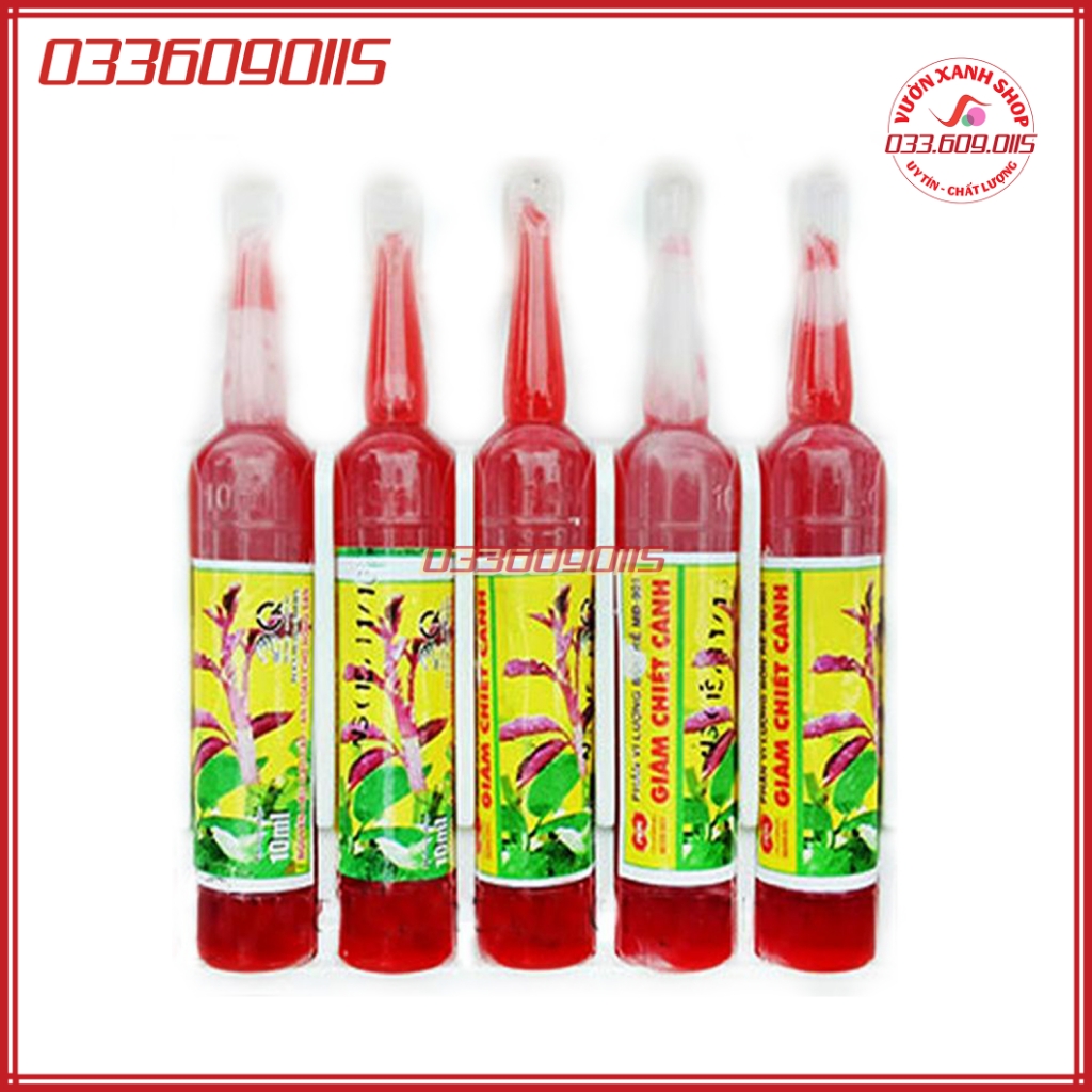 Chế phẩm kích rễ, giâm chiết cành siêu nhanh, ra rễ vượt trội - Shop hoa cây cảnh Hà Nội