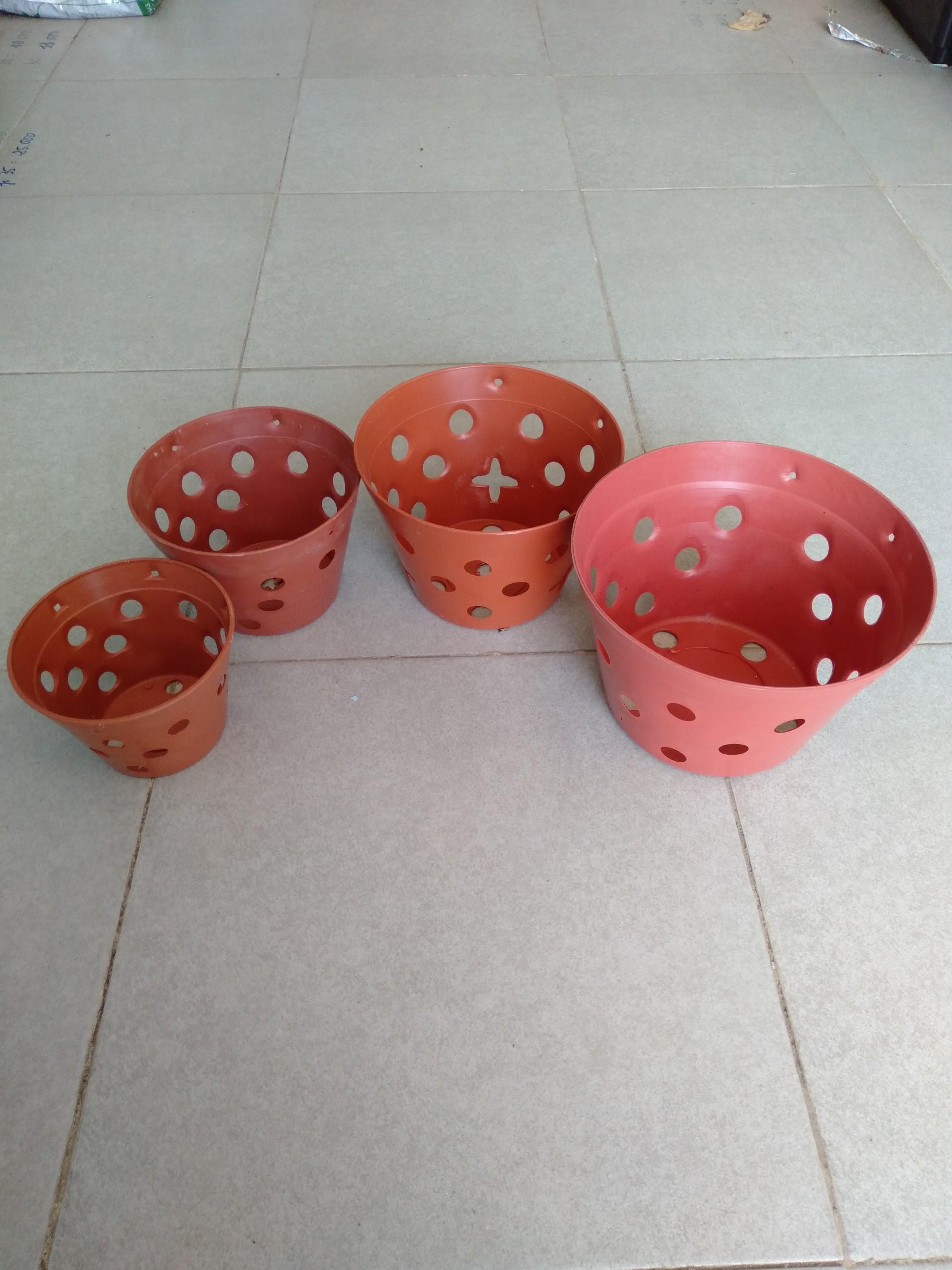 Set 10 chậu lan giả đất fi 14
