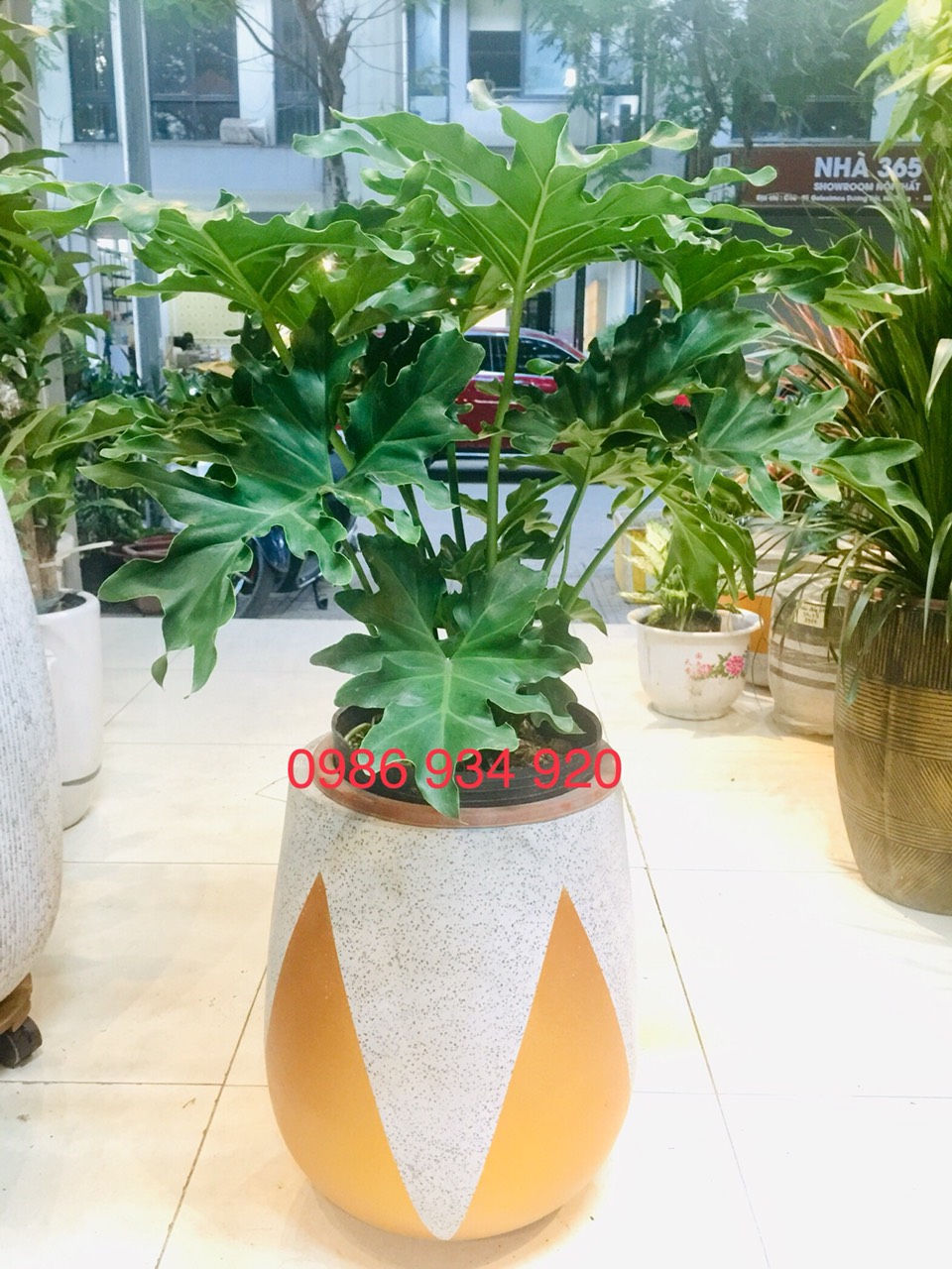 CHẬU ĐÁ MÀI GIỌT NƯỚC SƠN HỌA TIẾT