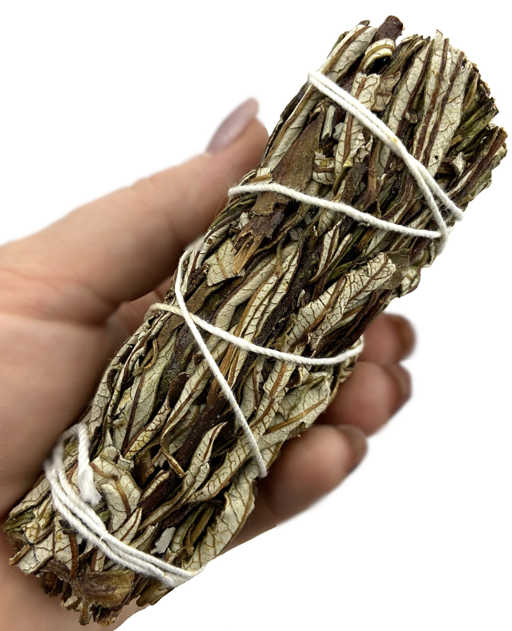 Bó xô thanh tẩy (Xô trắng mix Lá thánh) White sage and Yerba Santa - thanh tẩy nhà cửa