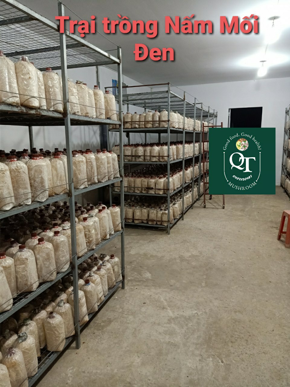Combo: Phôi Nấm Mối Đen (01 kiện hàng 8 bịch )&Có kèm Sơ Dừa Đủ Trồng