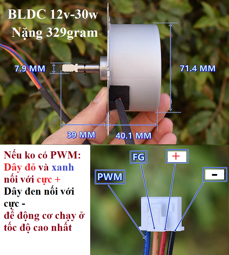 Động cơ quạt, đầu quạt 12v-36v các loại
