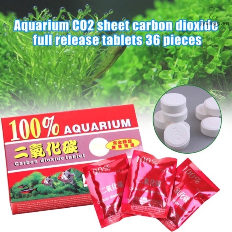 Hộp Viên Nén CO2 cho hồ cá thủy sinh, cây thủy sinh 36v - (Hàng Công Ty)