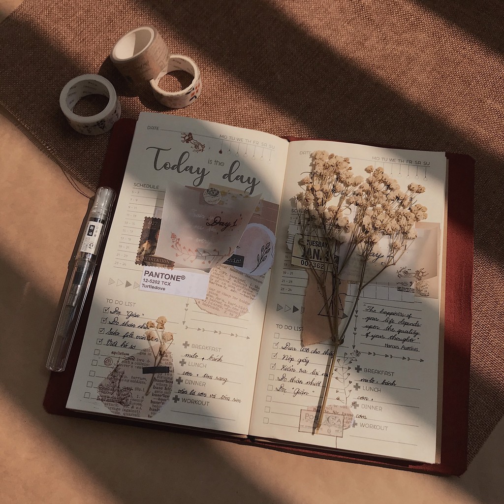 Sổ da midori size regular da thật chọn màu da dành cho b.u.l.l.e.t journal (CHƯA bao gồm ruột)