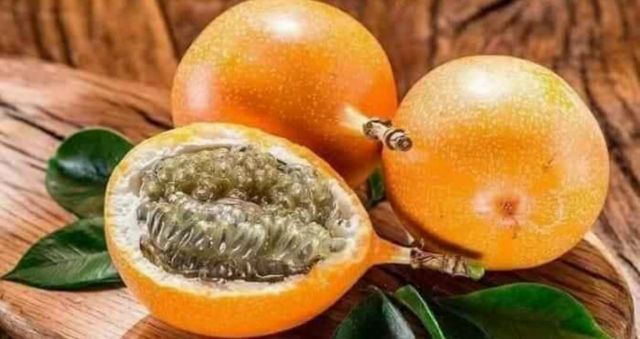 Chanh dây ngọt Colombia trái vàng