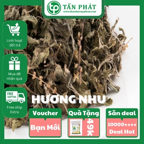 Hương nhu khô loại 1kg - Hàng công ty chất lượng cao - Hỗ trợ cải thiện giấc ngủ - Trà ngon và bổ dưỡng
