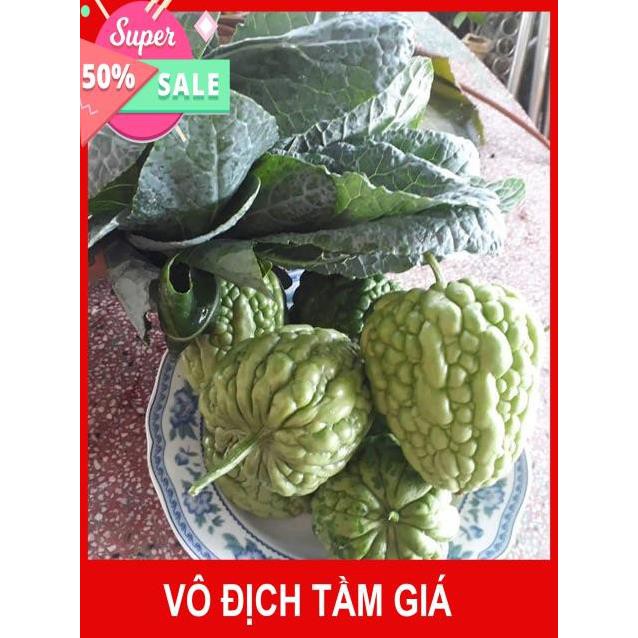 Hạt Giống Mướp Đắng Trái Tim Đài Loan