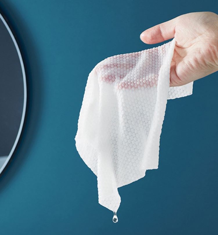 Túi 20 Khăn Mặt Dạng Viên Nén, Khăn Mặt MiNi Bỏ Túi Du Lịch Tiện Lợi