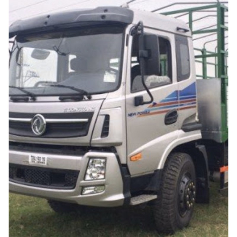 Tem dán xe tải Trường Giang , Tem DongFeng