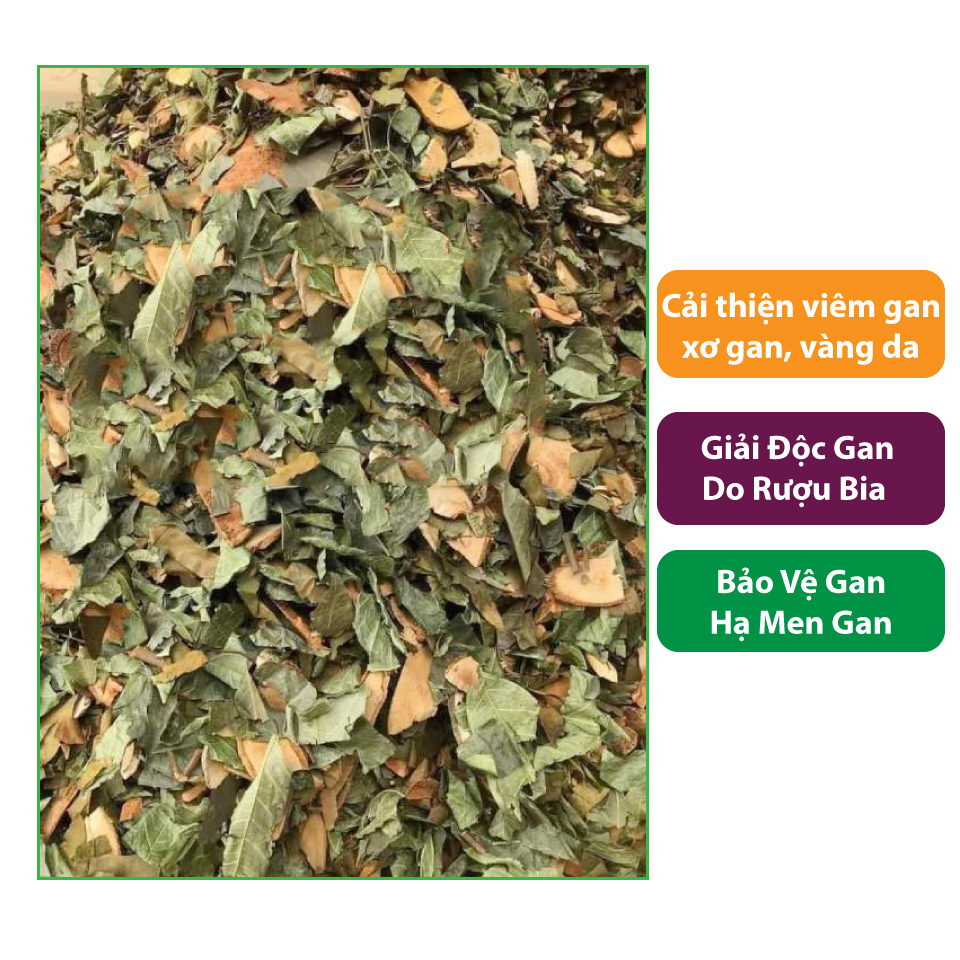 [Hàng mới về] Cây lá gan khô túi lớn 500gram  - Tấn Phát - Hỗ trợ cải thiện sức khoẻ cực kỳ hiệu quả