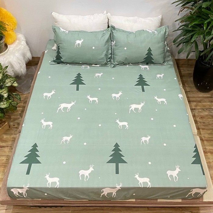 Bộ ga chun kèm vỏ gối poly cotton, ga giường bọc đệm m6x2m; m8x2m; 2mx2m2