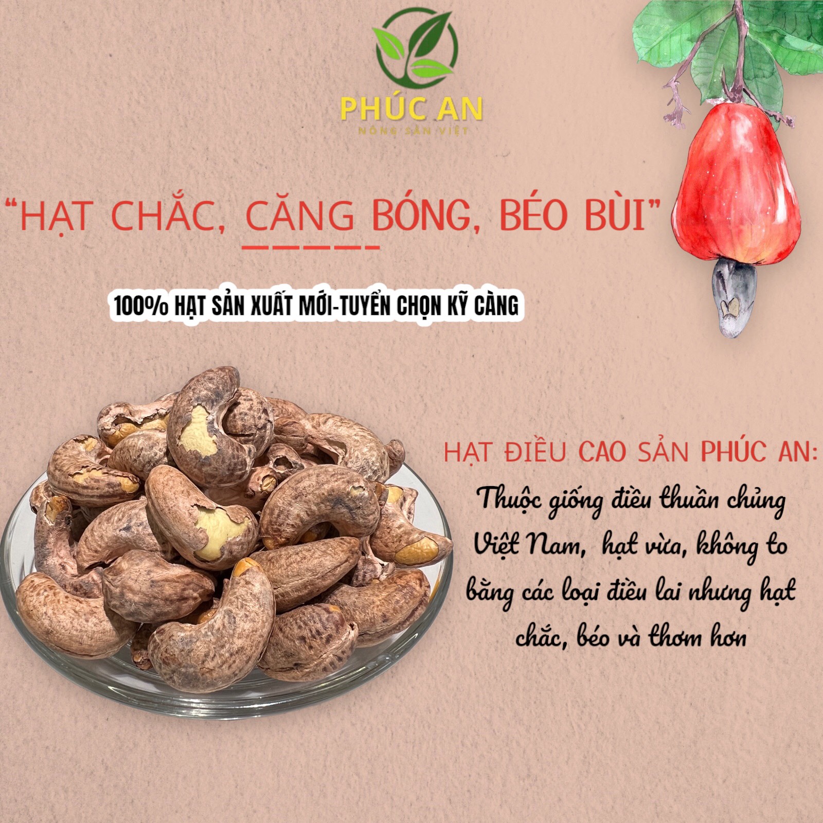 Hạt Điều Rang Muối PHÚC AN Có Vỏ Lụa 500g - Đặc Sản Bình Phước