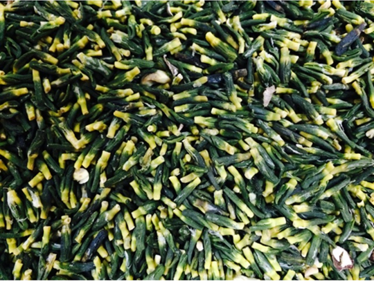 Tim sen khô loại thượng hạng 500gr - giup an thần ngủ ngon