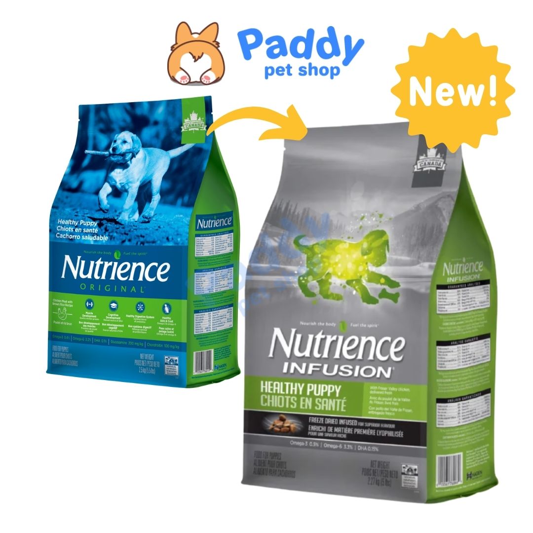 Hạt Nutrience Infusion Puppy Chó Con