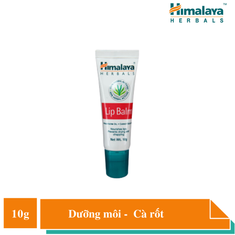 Son Dưỡng Khô Môi và Nứt Nẻ Chiết Xuất Từ Cà Rốt - Himalaya Lip Balm 10 g giá rẻ