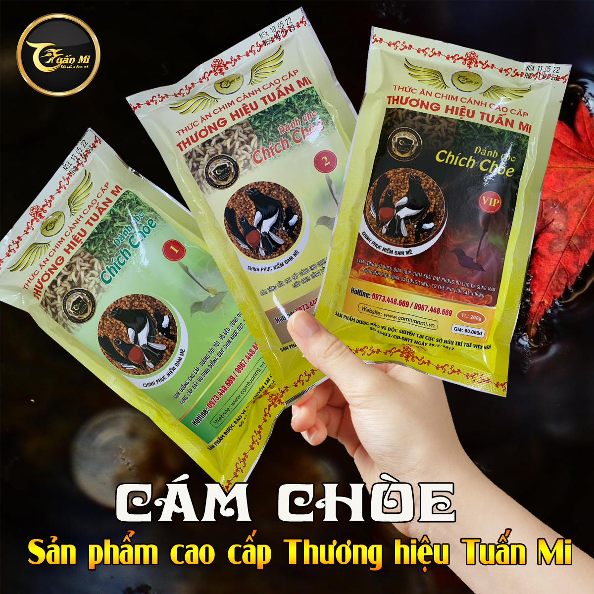 Cám Chòe VIP (căng lửa nhạy)