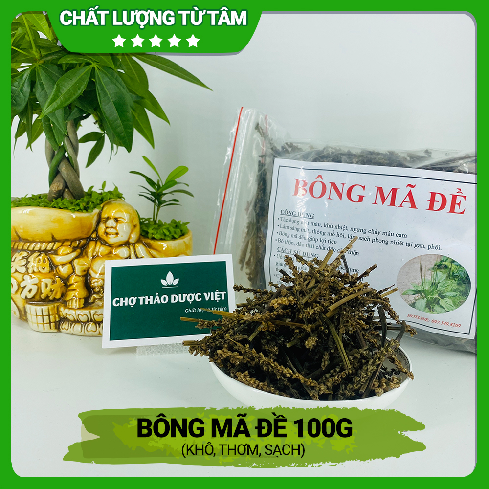 Bông mã đề 100g, cây mã đề lợi tiểu hỗ trợ tán sỏi thận, bí tiểu, giảm ho tiêu đờm, ổn định huyết áp