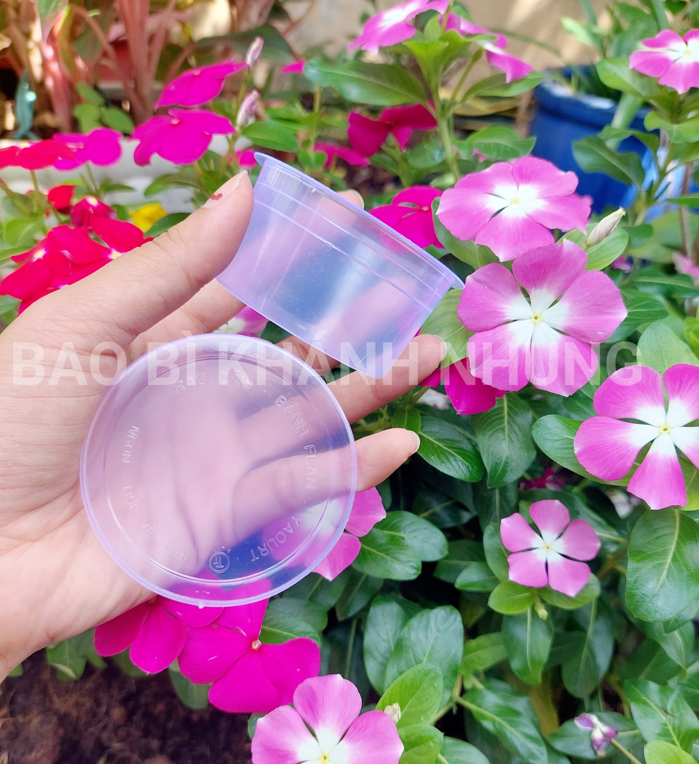 50 HŨ LÀM BÁNH PLAN - KÈM NẮP