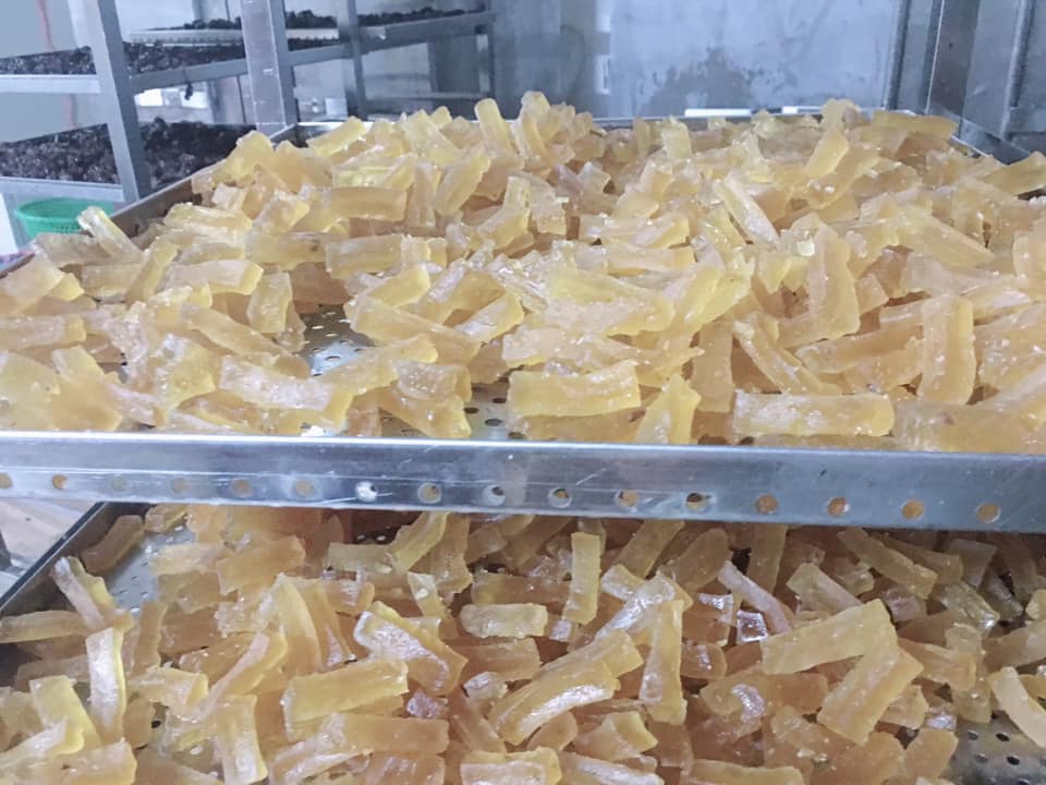 RONG SỤN THỎI VỊ GỪNG 250gr
