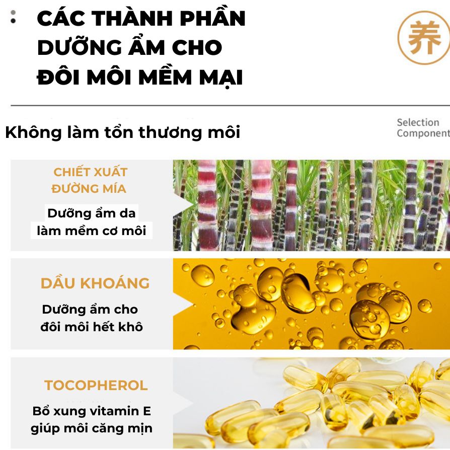 SON ĐƯỜNG NÂU TẨY TẾ BÀO CHẾT TRÊN MÔI, GIÚP ĐÔI MÔI TRỞ NÊN HỒNG, CĂNG BÓNG CẢI THIỆN VẾT NỨT VÀ BONG TRÓC