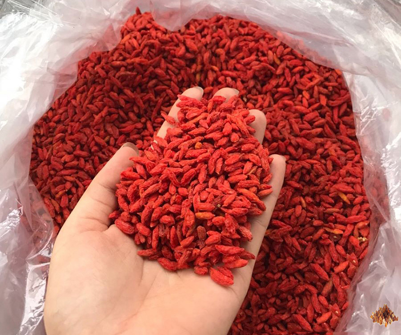 500g kỷ tử đỏ sấy khô loại 1