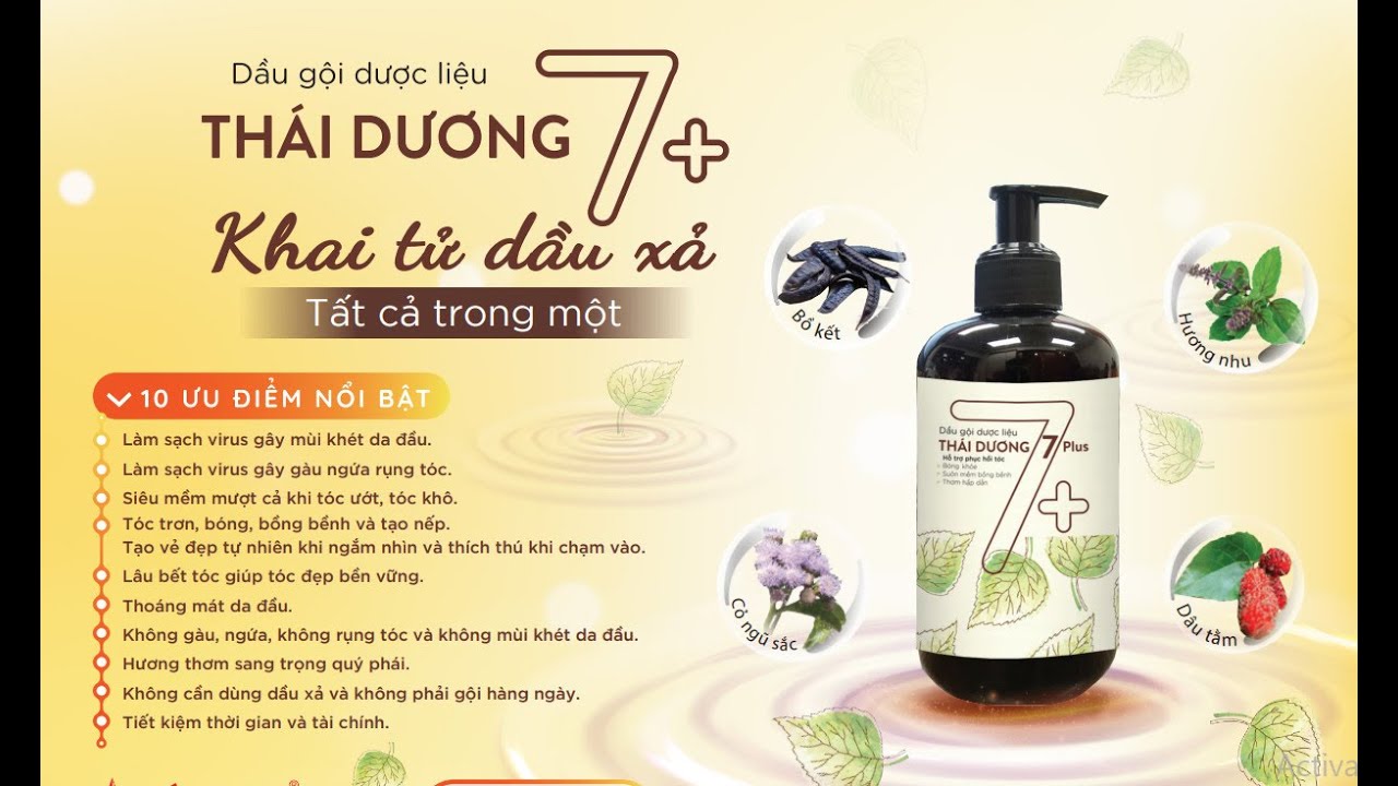 Dầu gội dược liệu Thái Dương 7plus
