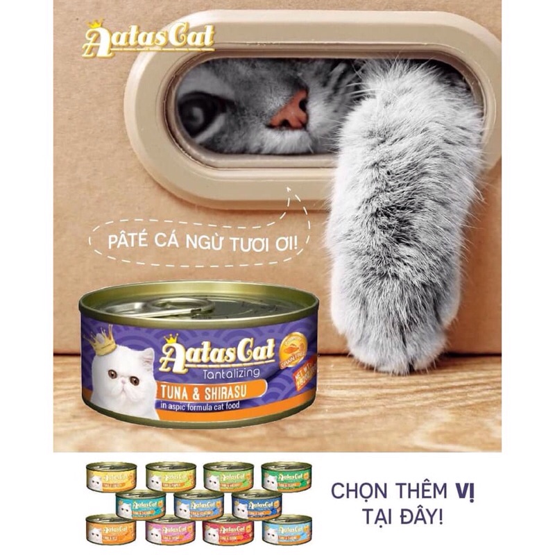 Freeship MAX Thức ăn dinh dưỡng cho mèo Pate Aatas lon 80g - Đồ Con Mèo
