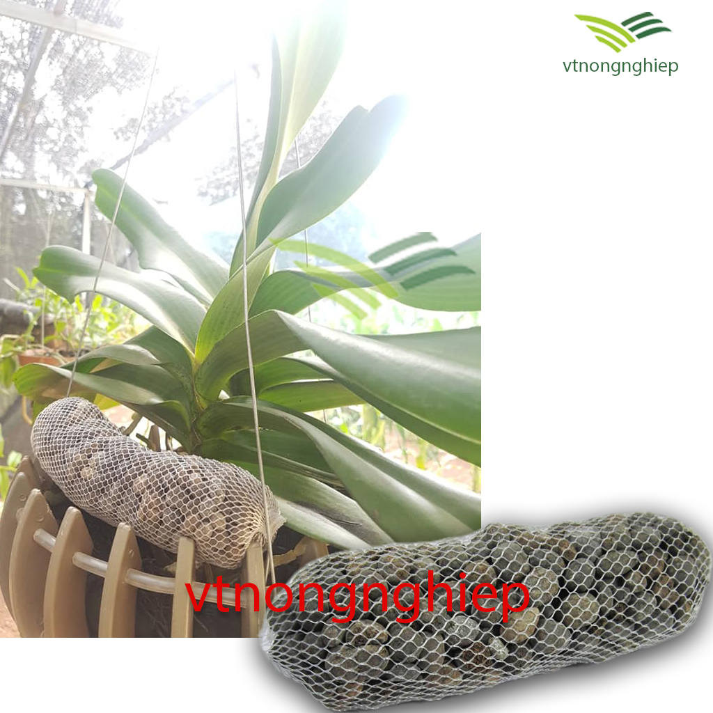 03 Túi phân dê đã qua xử lý Trichoderma dài 20cm