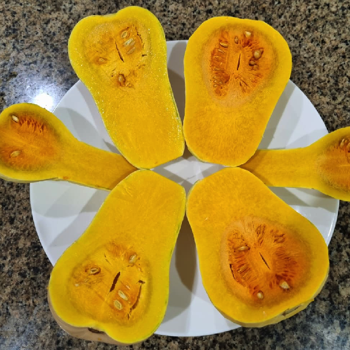 [Hạt giống Nhật Bản] Gói 5 hạt giống bí bơ Nhật Bản