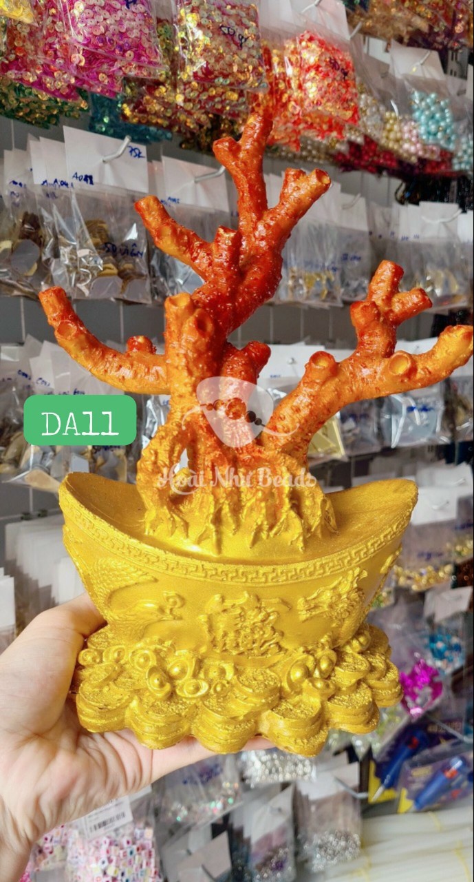 Gốc san hô làm cây kim tiền