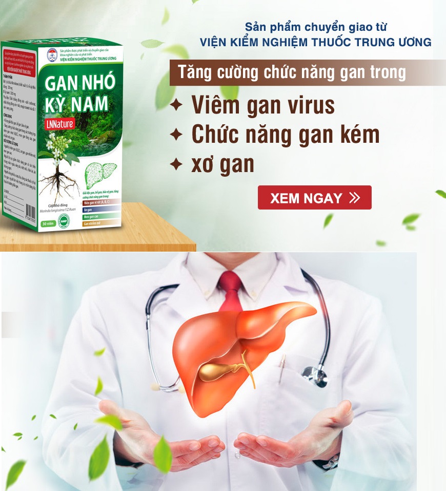 gan nhó kỳ nam - date mới 2026